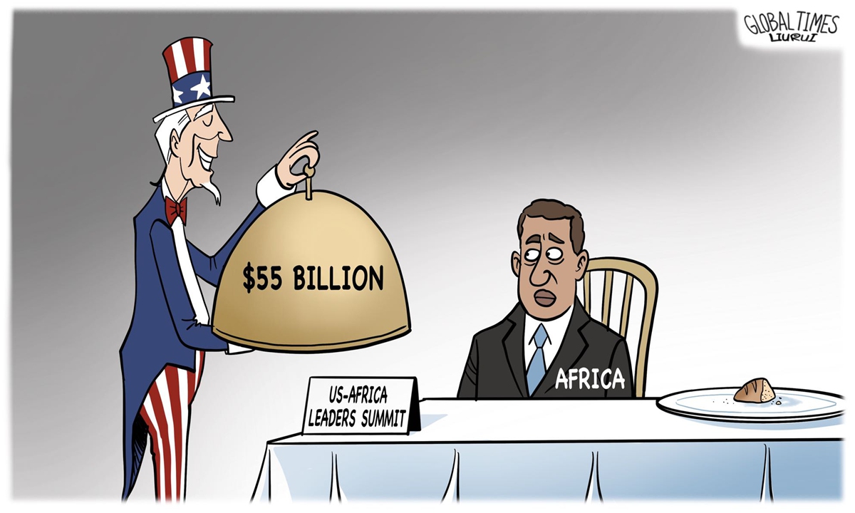 US Africa Summit