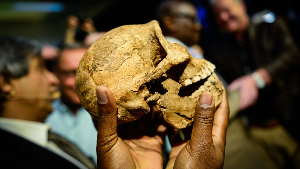 Skull of Homo naledi. © Global Look Press via ZUMA Press / Zhai Jianlan / Xinhua